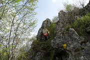 Monte Zucco (Direttissima / Sentiero Panoramico) da San Pellegrino Terme il 22 aprile 2016  - FOTOGALLERY